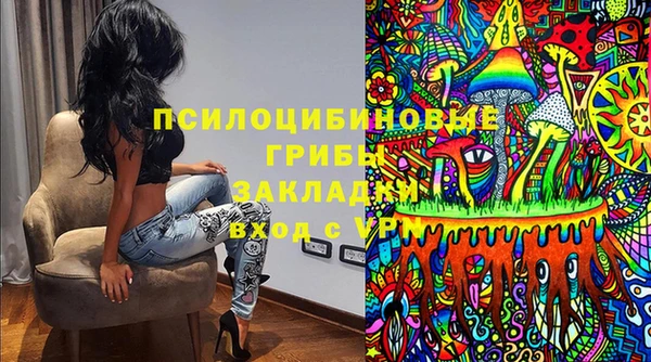 герыч Алексин