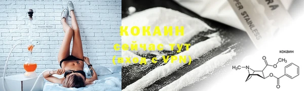 spice Алзамай