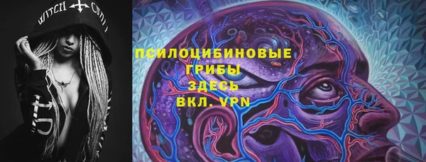 прущие грибы Бутурлиновка