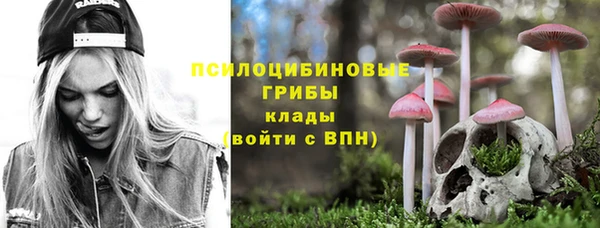 spice Алзамай