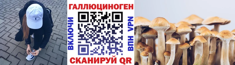 Псилоцибиновые грибы Cubensis  Томмот 